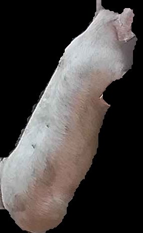 Crop