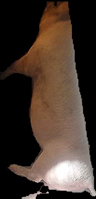 Crop