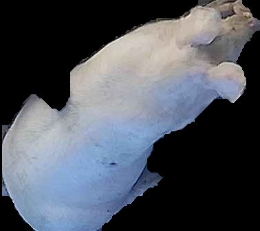 Crop