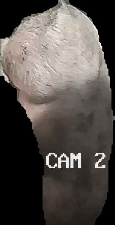 Crop