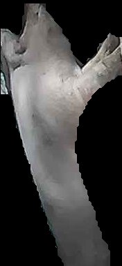 Crop