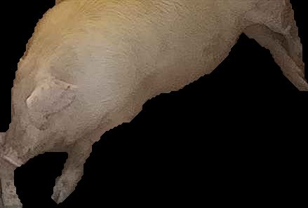 Crop