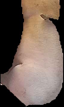 Crop