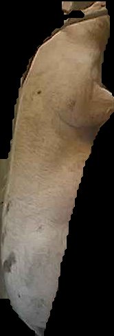 Crop