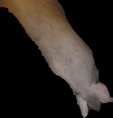 Crop