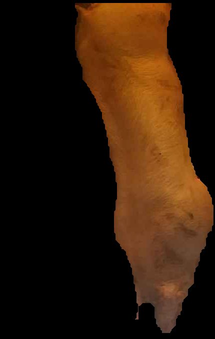 Crop