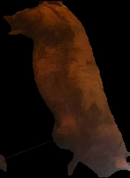 Crop