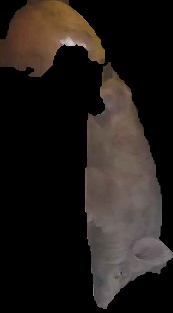 Crop