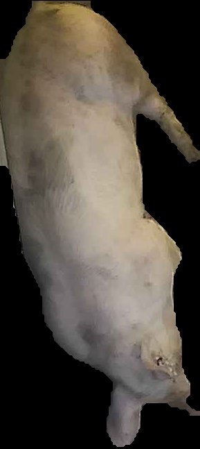 Crop
