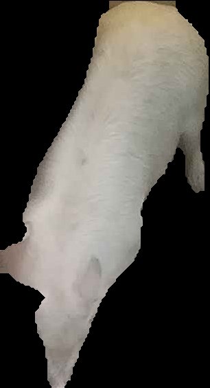 Crop