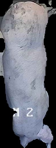 Crop