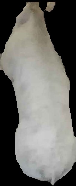 Crop