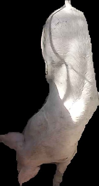 Crop