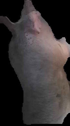 Crop