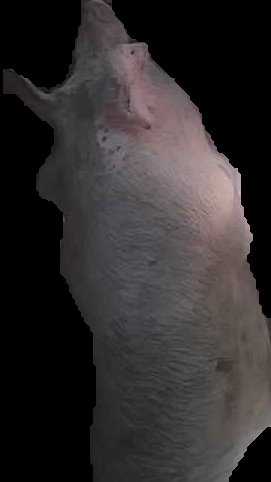 Crop