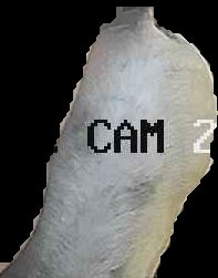 Crop