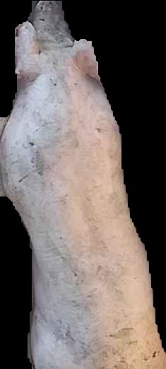 Crop