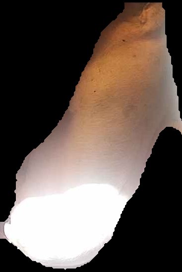 Crop