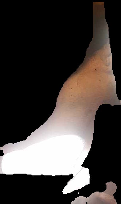 Crop