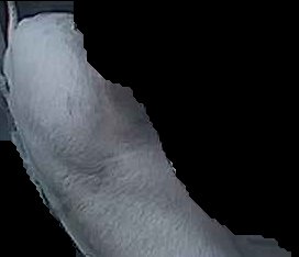 Crop