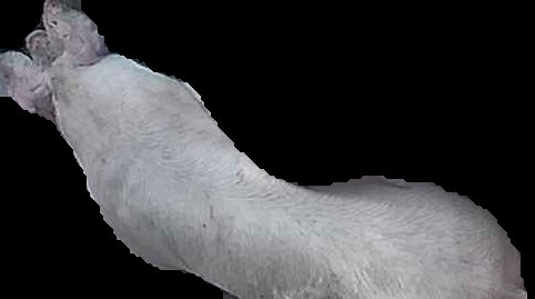 Crop