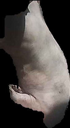 Crop