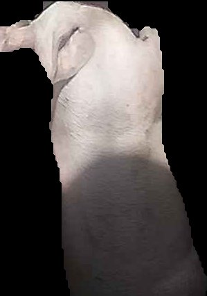 Crop