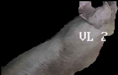 Crop