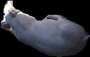 Crop