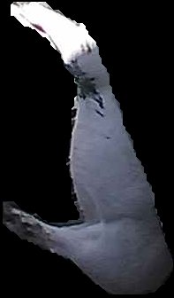 Crop