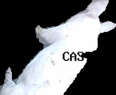 Crop