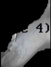 Crop