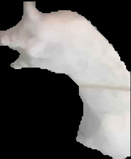 Crop
