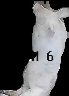 Crop