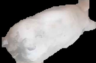 Crop