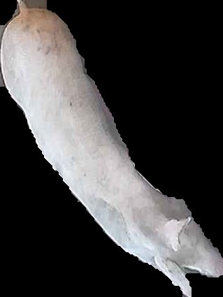 Crop