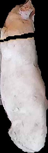 Crop