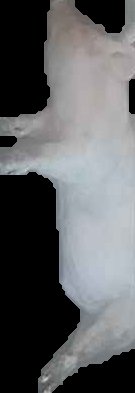 Crop