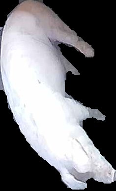 Crop