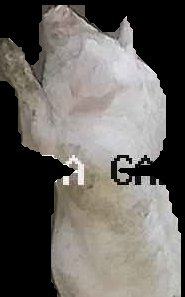 Crop