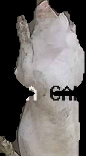 Crop