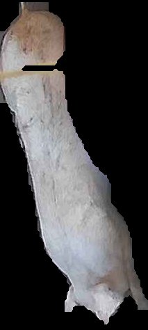Crop