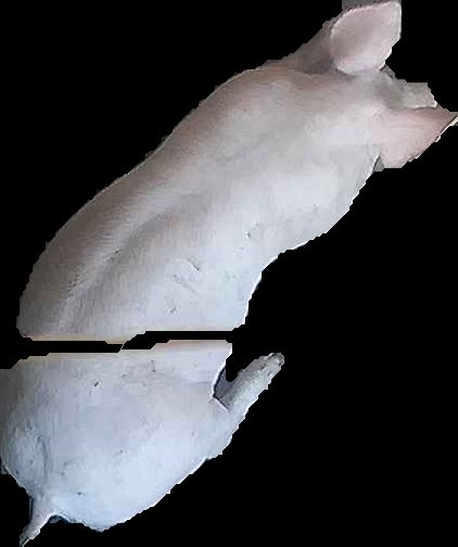 Crop