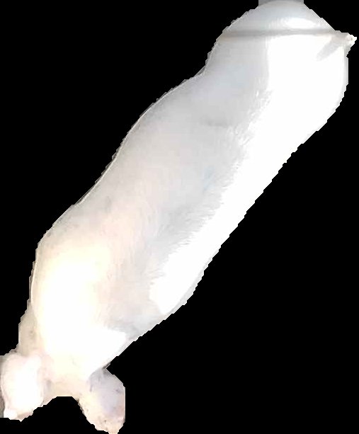 Crop