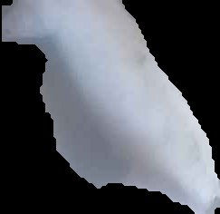 Crop
