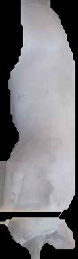 Crop