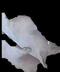 Crop