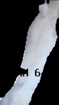 Crop