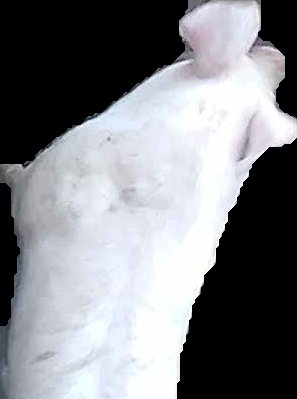 Crop