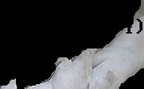 Crop